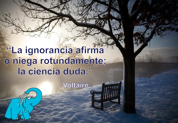 Una Enseñanza de Voltaire sobre La Ignorancia, en La Frase del Día del Elefante Azul de Avilés
